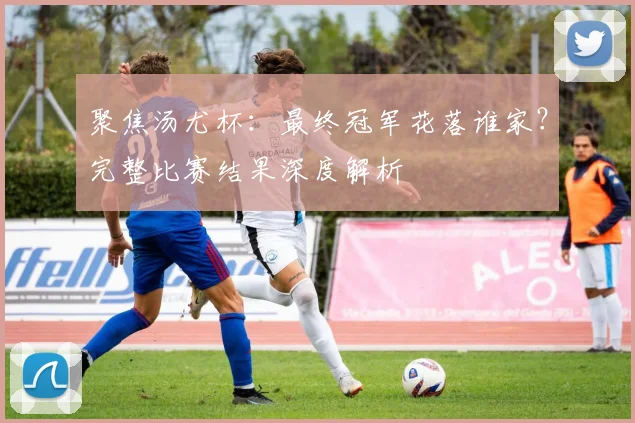 聚焦汤尤杯：最终冠军花落谁家？完整比赛结果深度解析